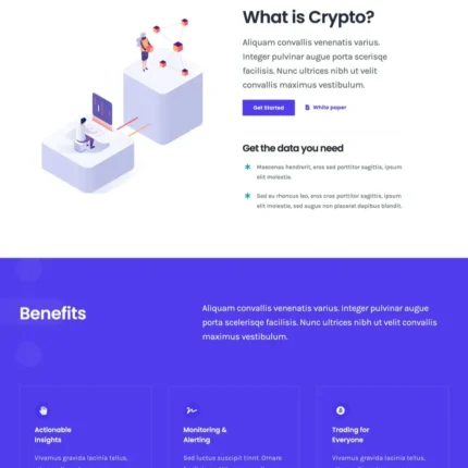 Cryptocurrency Website Design with Free VPS Web Hosting