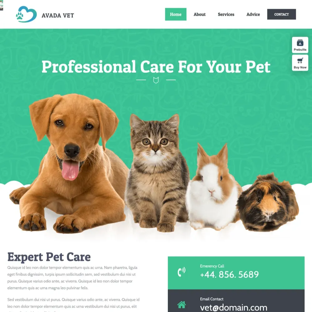 Veterinarian Website Design with Free VPS Web Hosting (1) Veterinarian Website Design with Free VPS Web Hosting