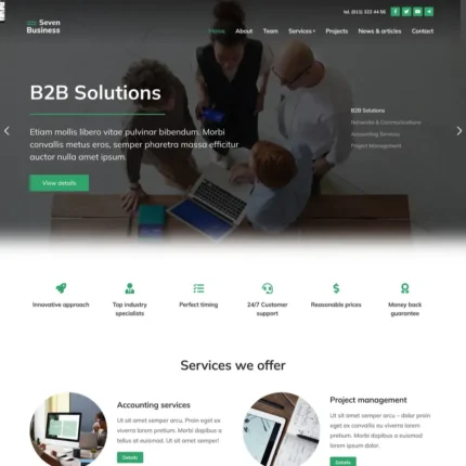 Business Solutions Website Design with Free VPS Web Hosting