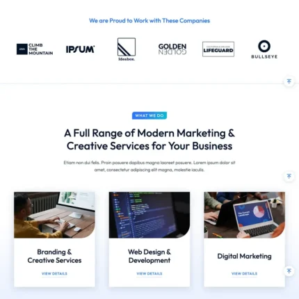 E-business Website Design with Free VPS Web Hosting