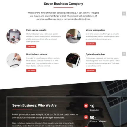 Business Company Website Design with Free VPS Web Hosting