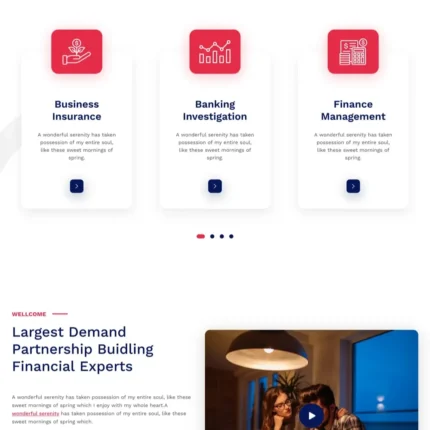 Finance Agency Website Design with Free VPS Web Hosting