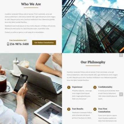 Law Firm Website Design with Free VPS Web Hosting