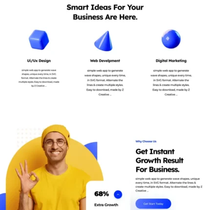 Web Design Business Website Design with Free VPS Web Hosting