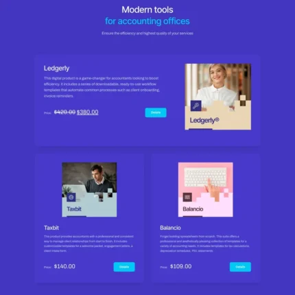 Accountant Software Website Design with Free Web Hosting