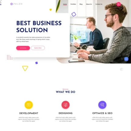 Business Solution Website Design with Free VPS Web Hosting