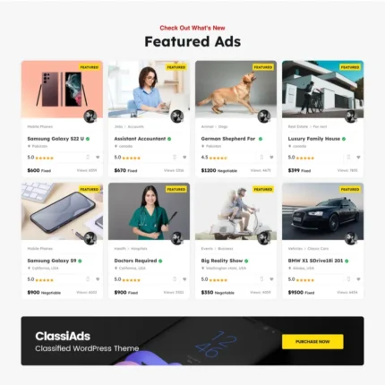 Classified Ad Website Design with Free Web Hosting