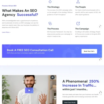SEO Company Website Design with Free Web Hosting