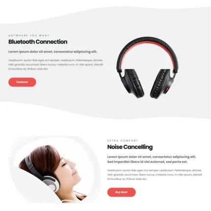 Single Product Website Design with Free VPS Web Hosting