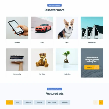 Ad Listings Website Design with Free VPS Web Hosting