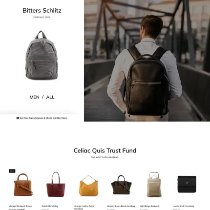 👜 Bag Store Website Design for Sale with Free VPS Web Hosting