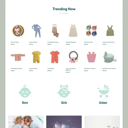 Baby Products Website Design with Free VPS Web Hosting